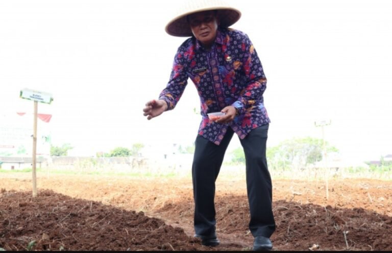 Bupati dan Unsur Forkopimda Tanam Jagung Hibrida di Kampung Batu Tunggul Sukatani