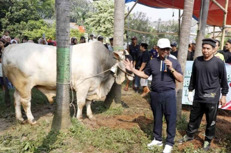 Pastikan Kualitas dan Distribusi Kurban, Wali Kota Tangerang Tinjau Langsung Proses Penyembelihan