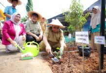 Pemkot Tangsel Galakkan Tanam Serentak, Benyamin: Untuk Konsumsi dan Kendalikan Inflasi