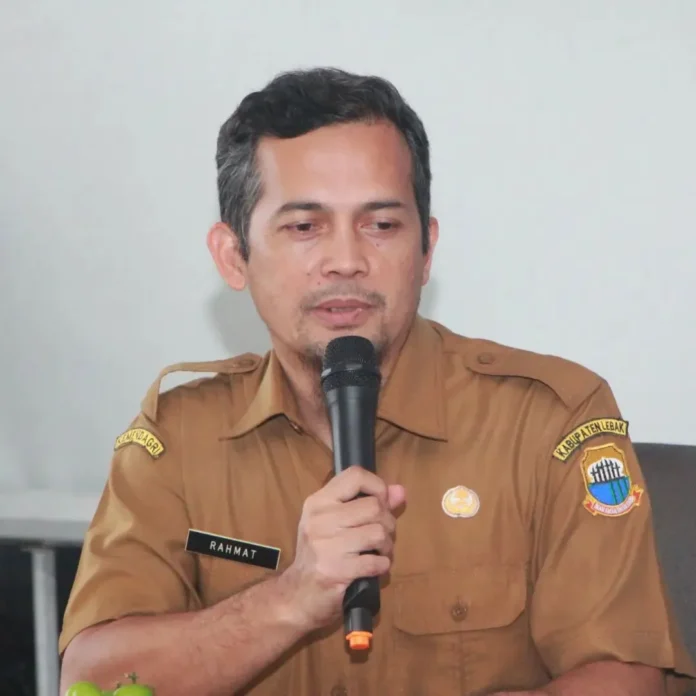 Lebak Panen Raya: Surplus 179 Ribu Ton, Kokohkan Status Lumbung Padi Banten