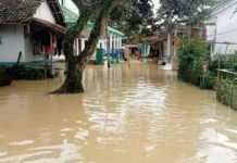 Sungai Cilemer di Pandeglang Kembali Meluap, Desa Idaman Patia Terendam Banjir