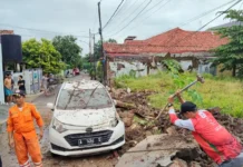 Banjir dan Tembok Roboh di Cilegon, PMI Turun Bersihkan Puing dan Data Kerusakan