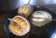 Dari Kebun Bukit Sasahan, Durian Lokal Banten Raup Jutaan Rupiah Sehari
