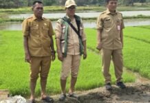 Tak Lagi Menunggu 20 Hari, Petani Tangerang Uji Cara Baru Tanam Padi