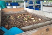 Keranggan Sulap Sampah Organik Jadi Maggot