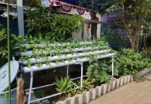 BLK Tangerang Buka Kelas Hidroponik